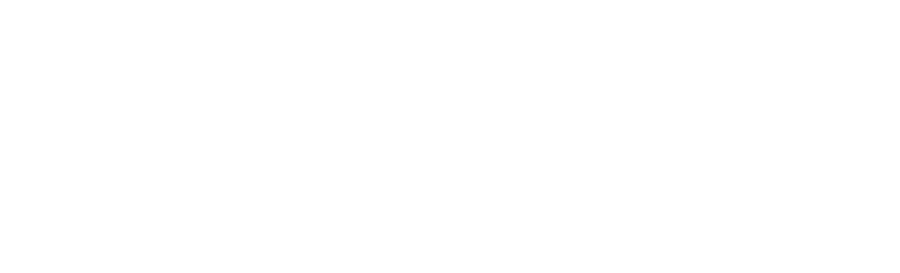 Simulation Medical Future